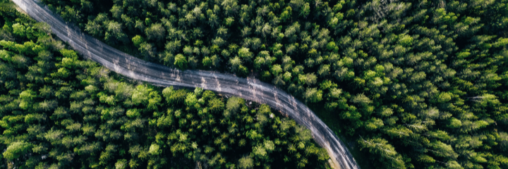 IoT and its Role in Sustainable Transportation-1-1